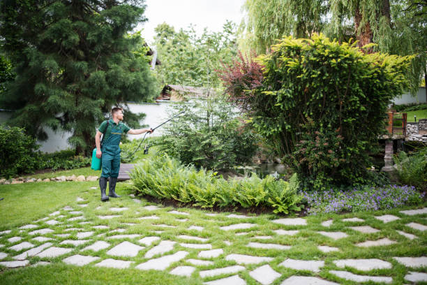 Best Affordable Pest Control Services  in Lewisburg, PA