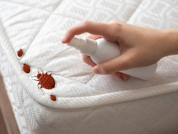 Best Wasp Removal Services  in Lewisburg, PA