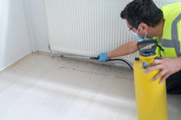 Best Ant Control Services  in Lewisburg, PA